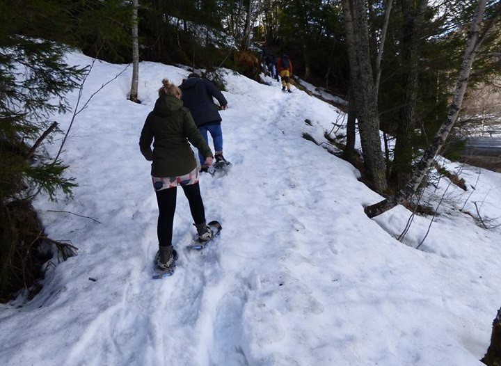 Afbeelding van Sneeuwschoenwandelen Vang I Valdres