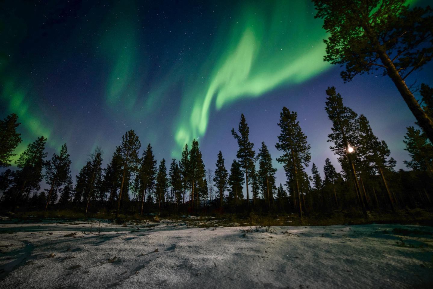 Afbeelding van Sorrisniva Alta Noors Lapland Reis Asin 13