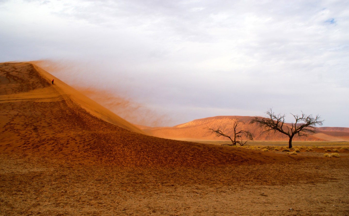 Desert Camp - Sesriem