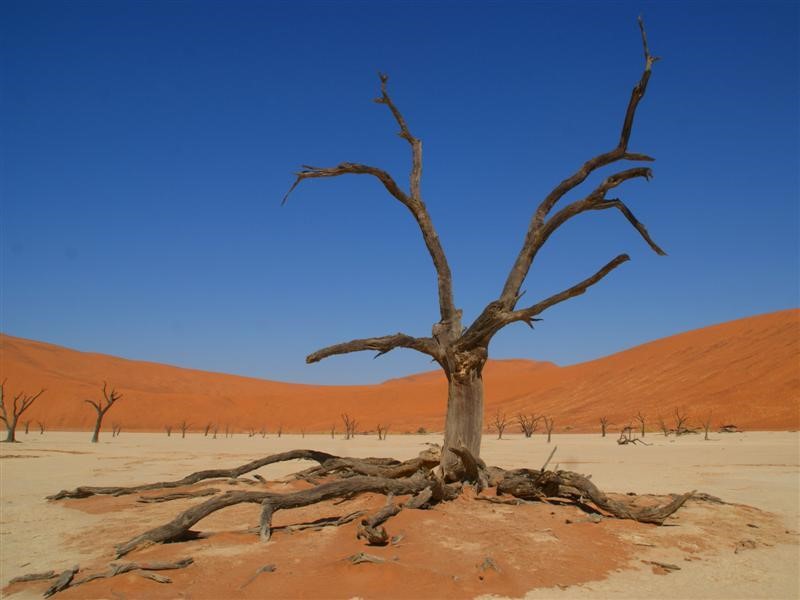 Afbeelding van Sossusvlei