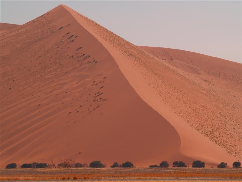 Afbeelding van Sossusvlei