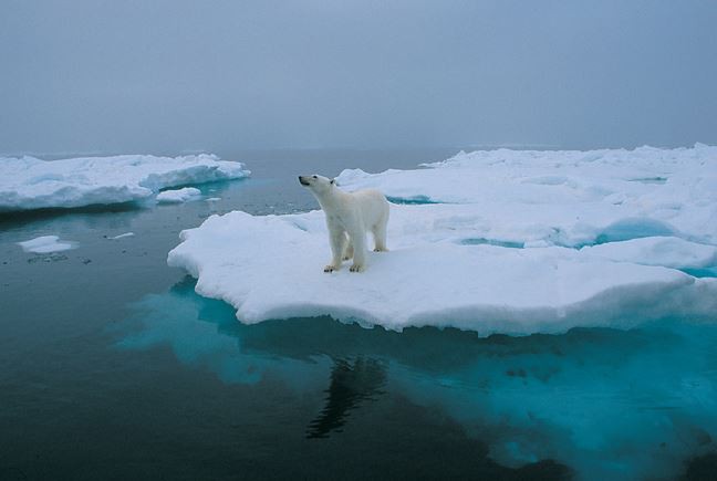 Afbeelding van Spitsbergen Fotografiereis