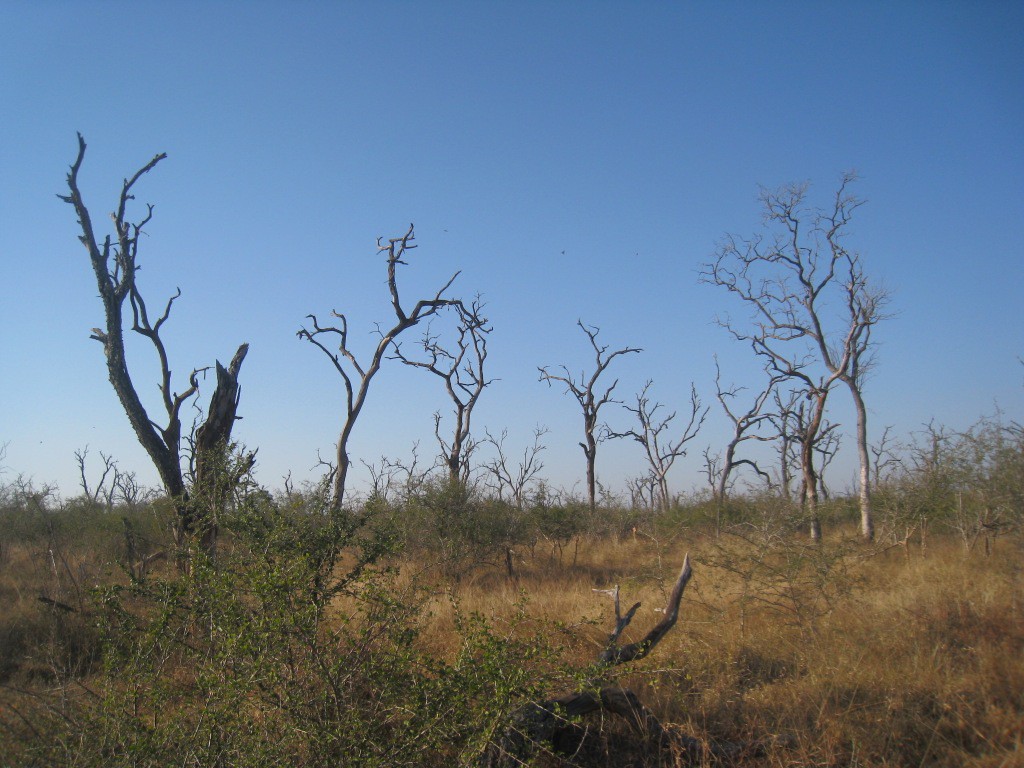 Shewula Mountain Camp - eSwatini