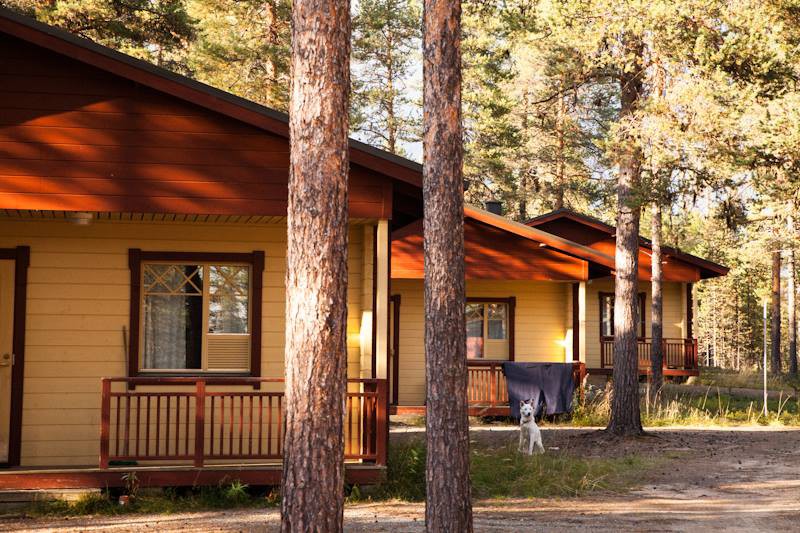 Muonio, Torassieppi Reindeer Farm and Cottages