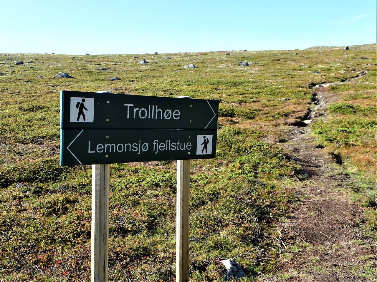 Trollhøe