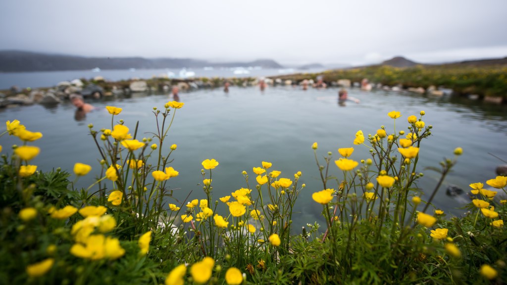 Afbeelding van Uunartoq Hurtigruten Andreas Kalvig Anderson