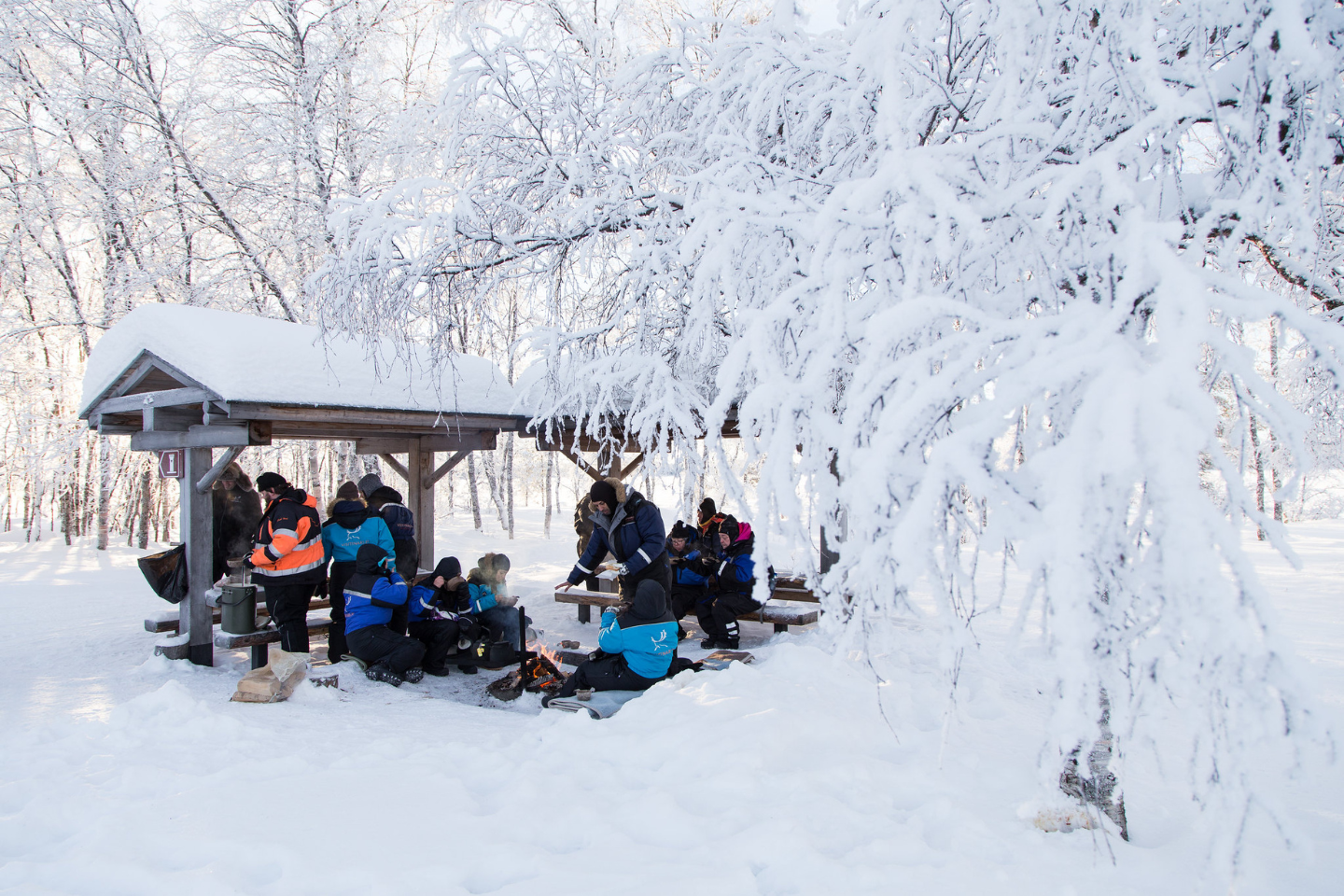 IJsvissen per sneeuwscooter - Inari