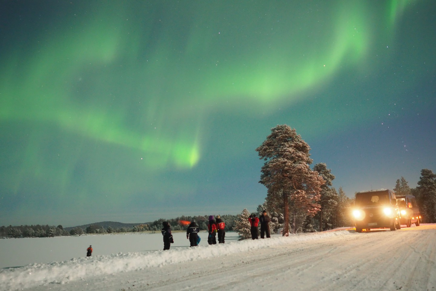 Noorderlichtsafari per auto - Inari