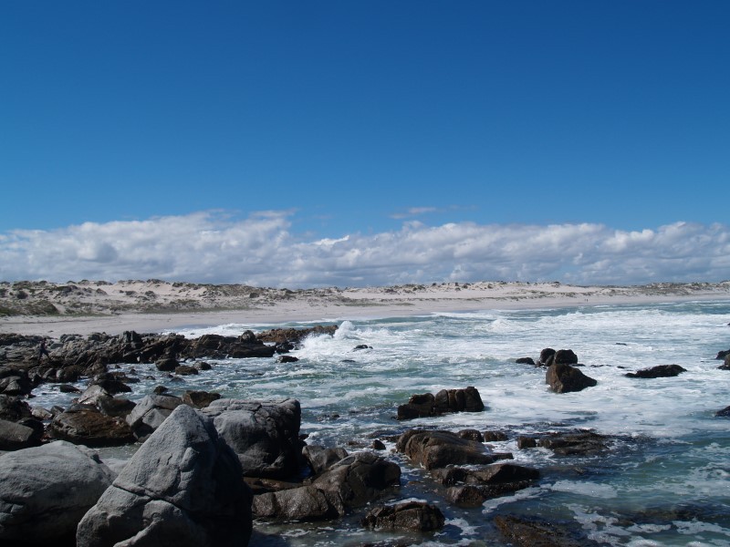 Afbeelding van West Coast NP