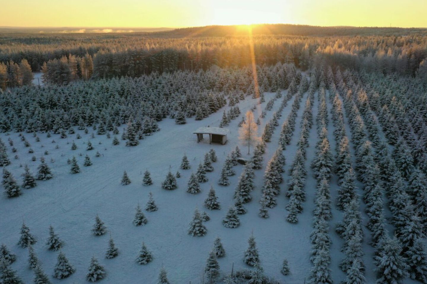 Saariselkä, Wilderness Hotel Kieppi