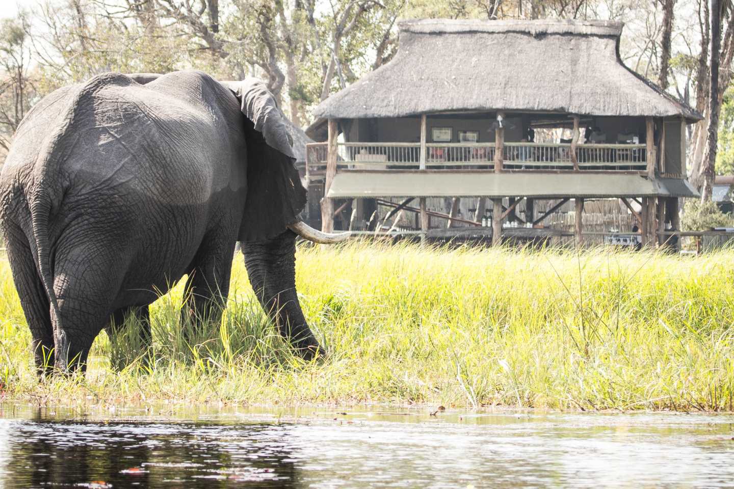 Moremi Crossing - Okavango Delta