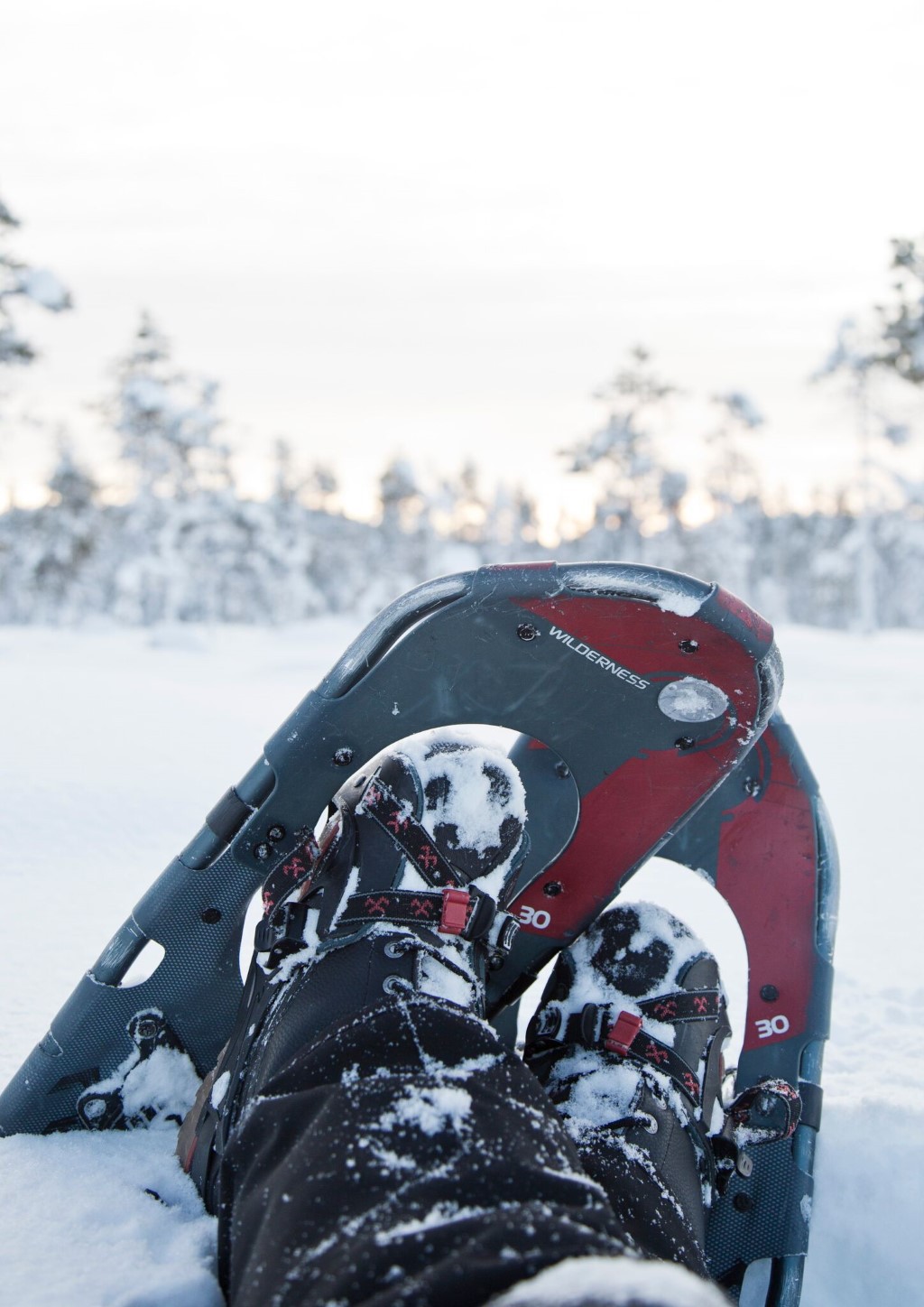 Sneeuwschoenwandelen - Inari, Muotka, Nellim, Nangu, Juutua