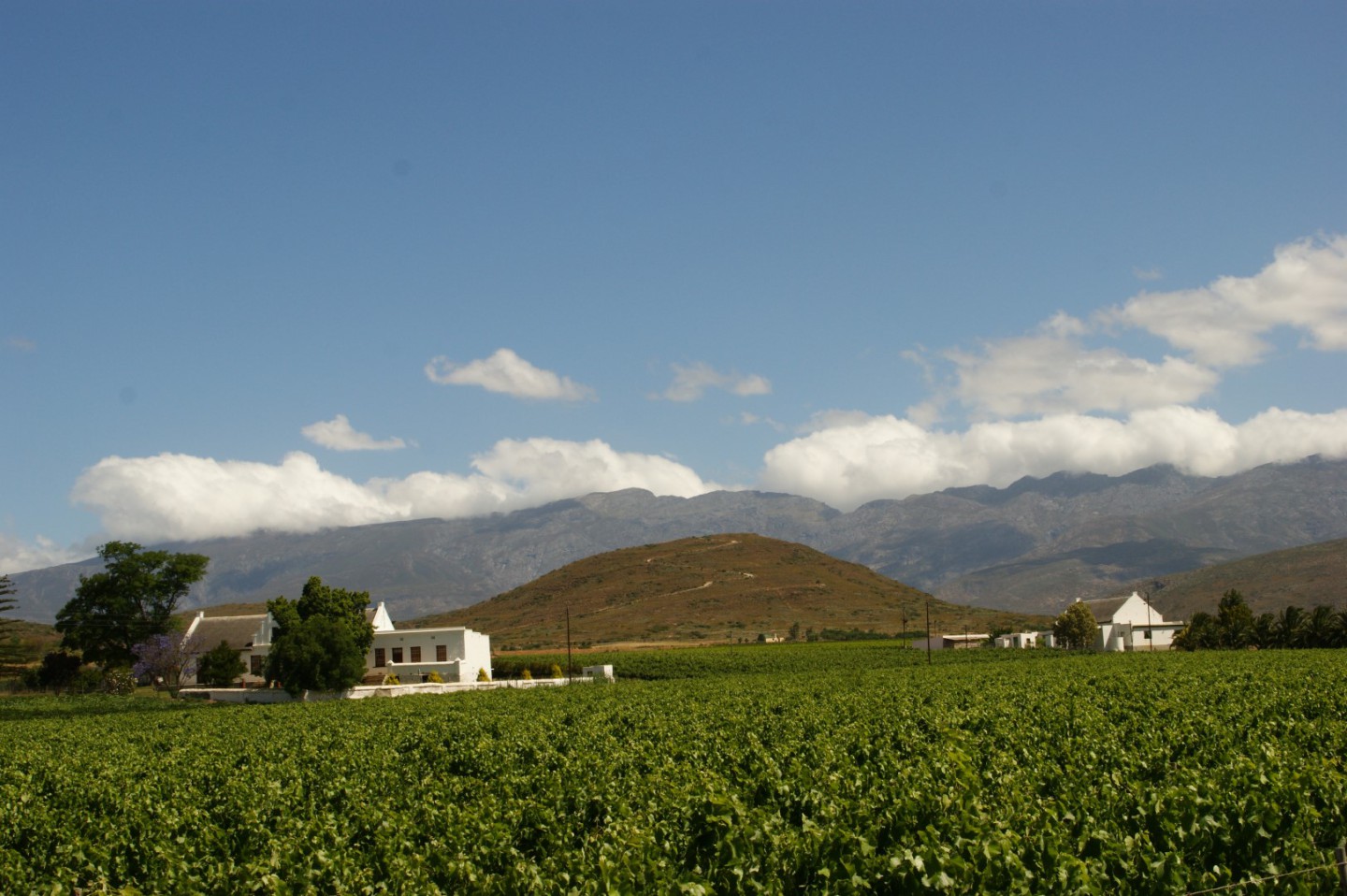 Cape Dutch Quarters - Tulbagh