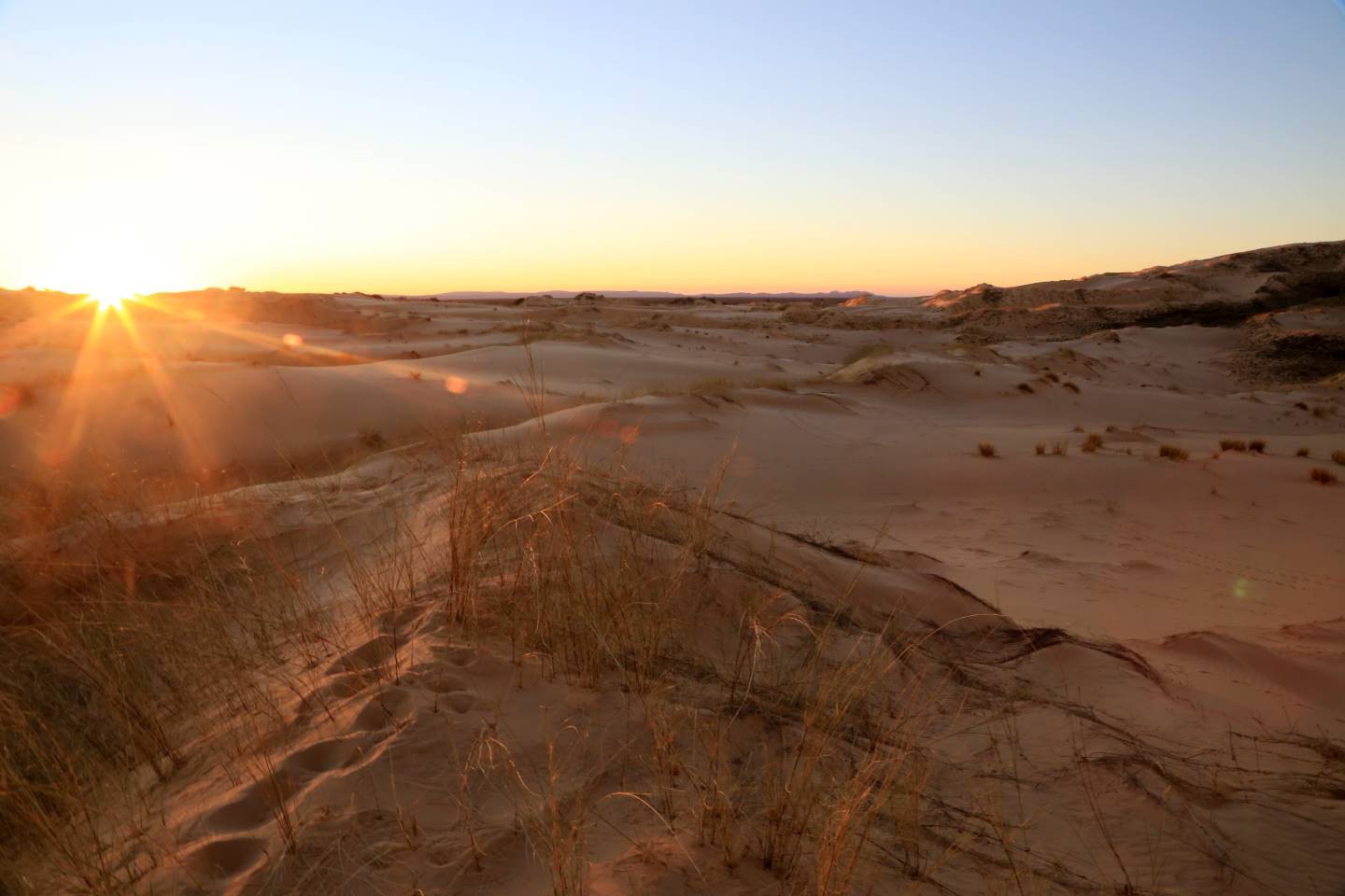 Witsand Nature Reserve Restcamp