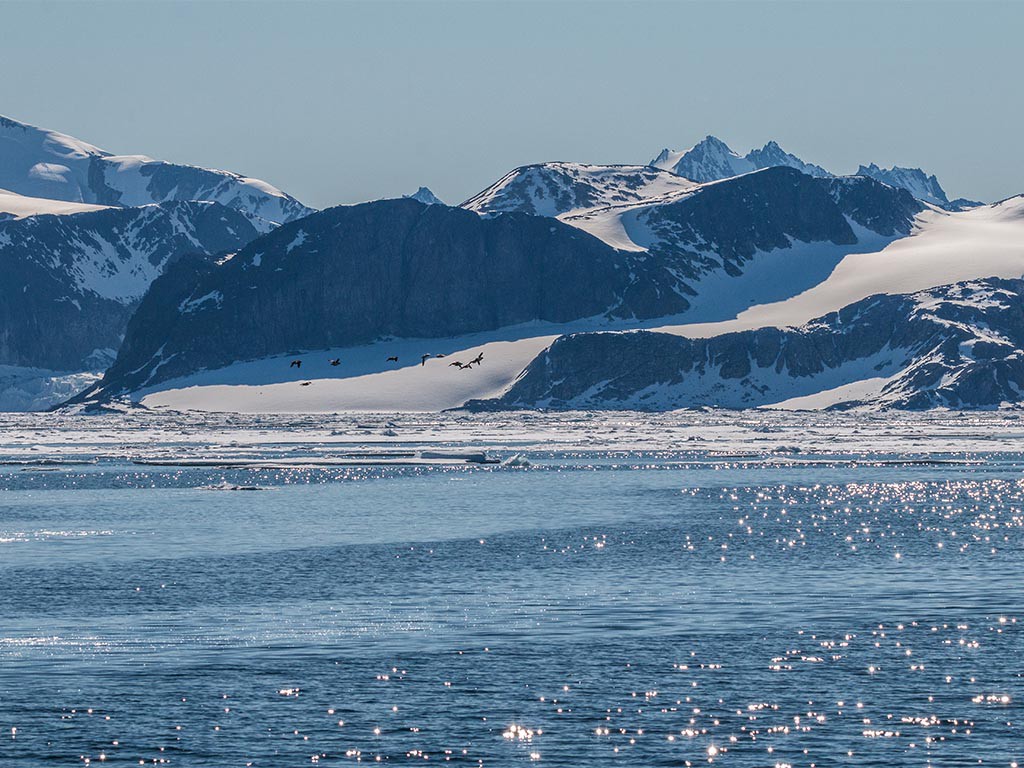 Ytre Norskøya