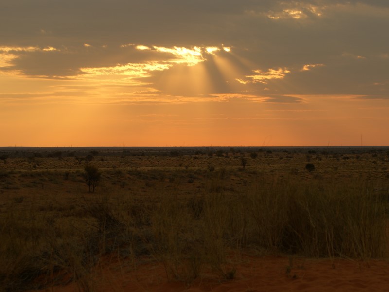 Afbeelding van Zonsondergang Red Dunes