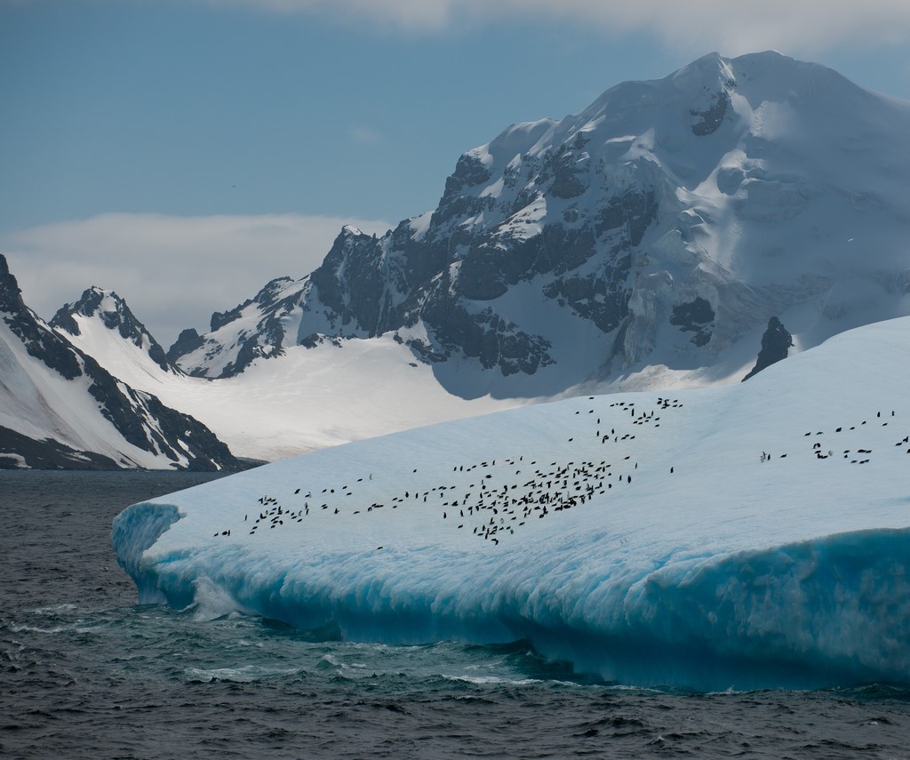 Afbeelding van Zuidelijke Orkneyeilanden Hurtigruten Michael Miller