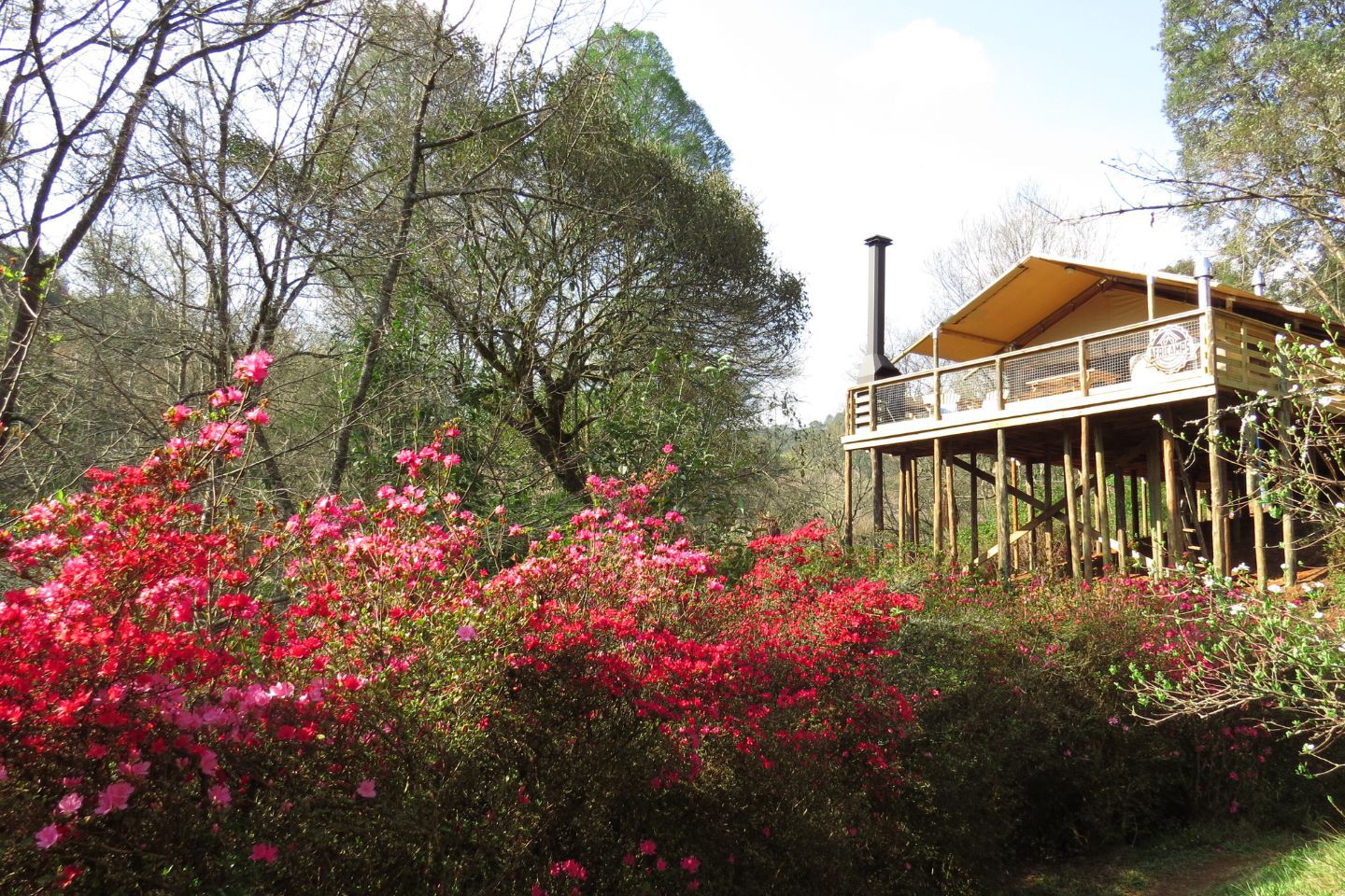 Afbeelding van Africamps Magoebaskloof Limpopo Tent