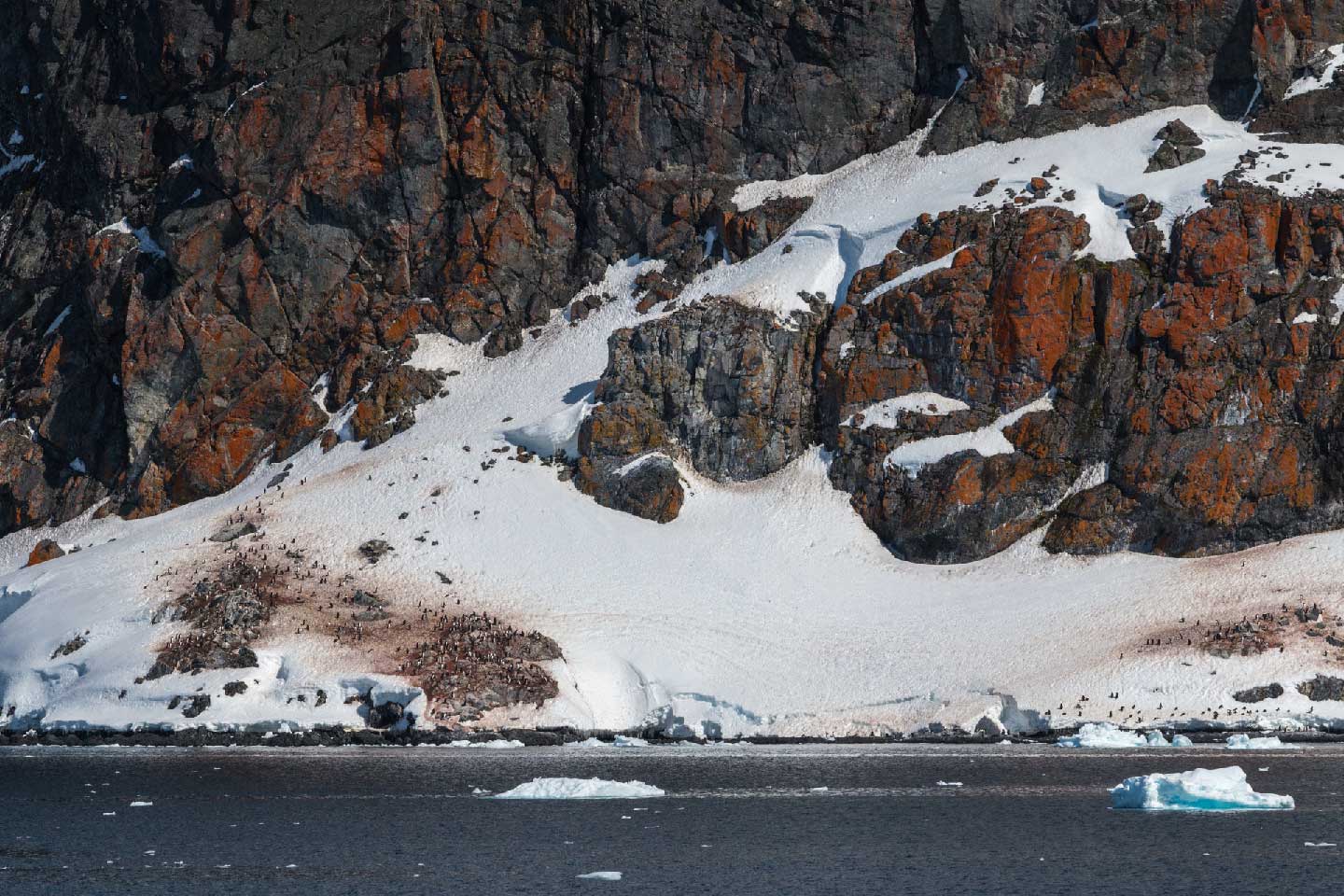 Antarctisch schiereiland, Antarctica