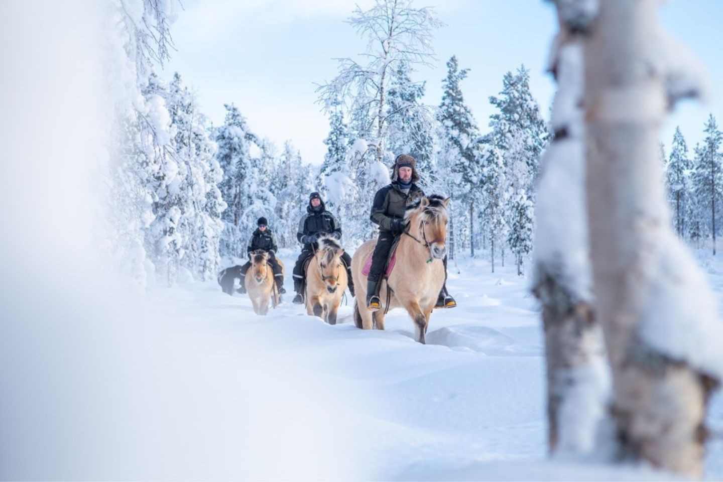 Afbeelding van Apukka Resort Paardrijden 1