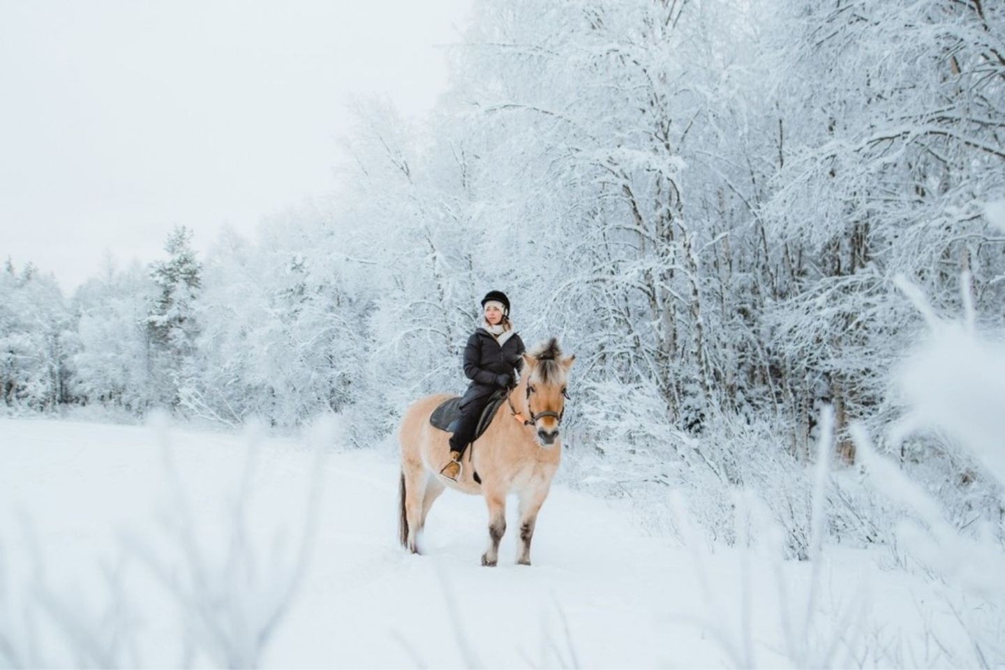 Paardrijden - Rovaniemi