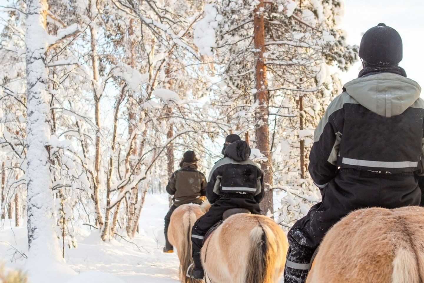 Paardrijden - Rovaniemi