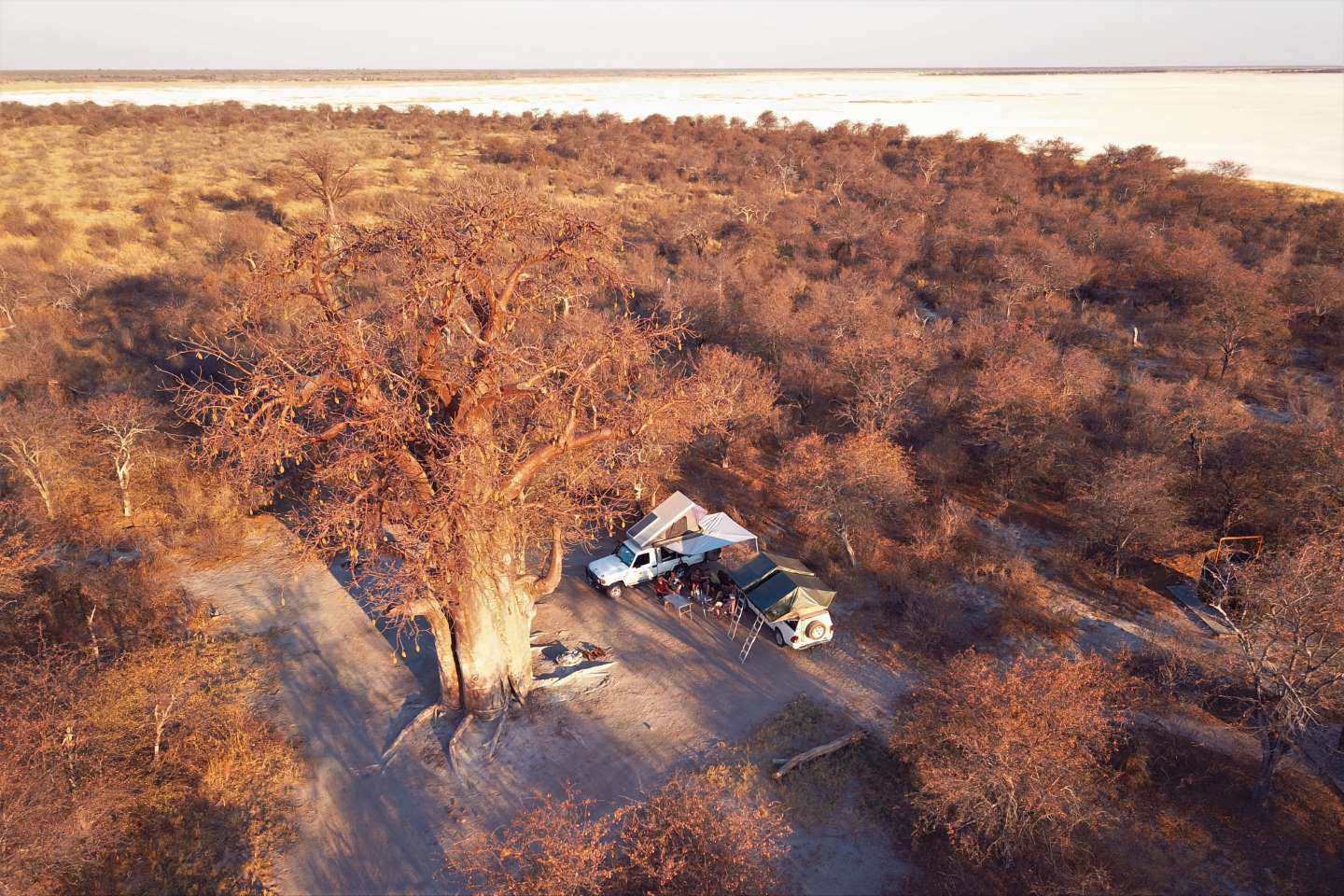 Afbeelding van Baines Baobab Nxai Pan Suid Afrika Reise