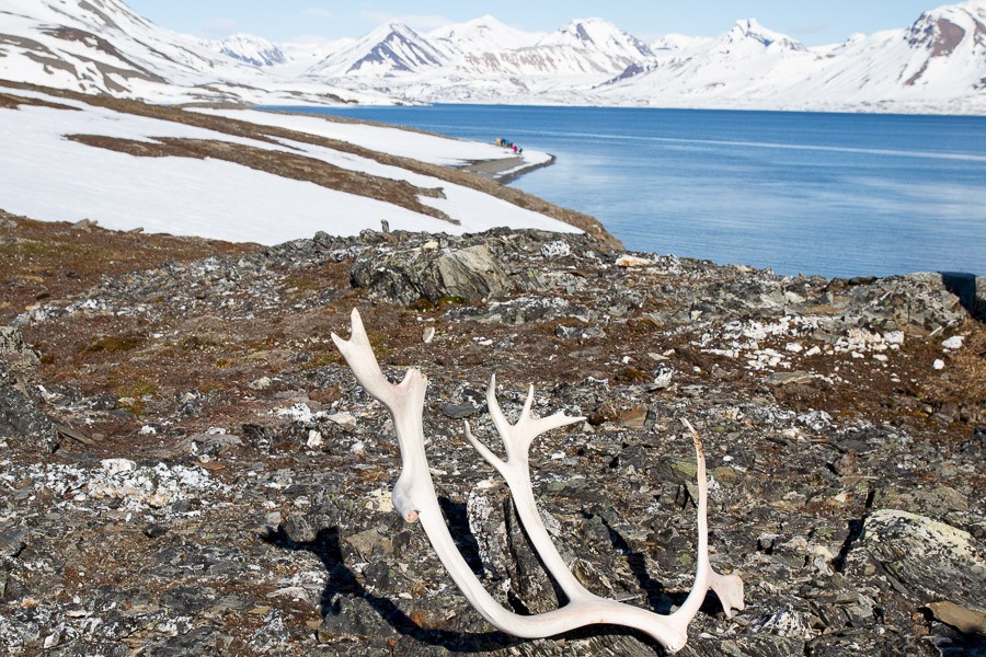 Afbeelding van Beluga Reizen Rendierengewei Met Het Landschap Van St Johnsfjord