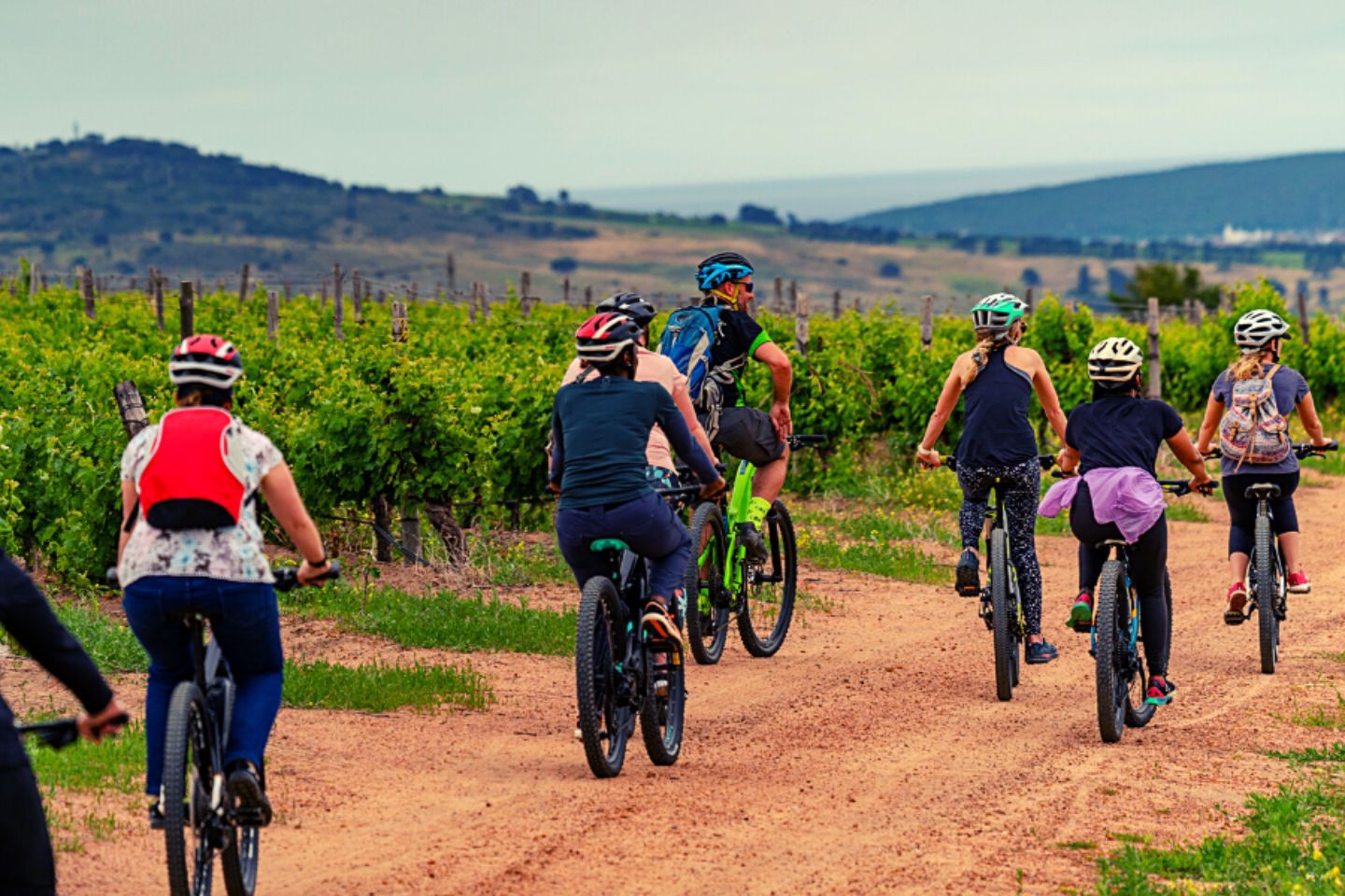 Afbeelding van Bikes N Wines Cycle Tour Stellenbosch Fietsen