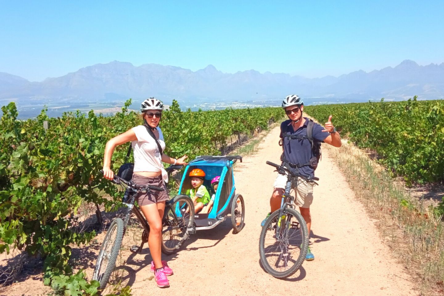 Afbeelding van Bikes N Wines Family Tour Stellenbosch Fietskar