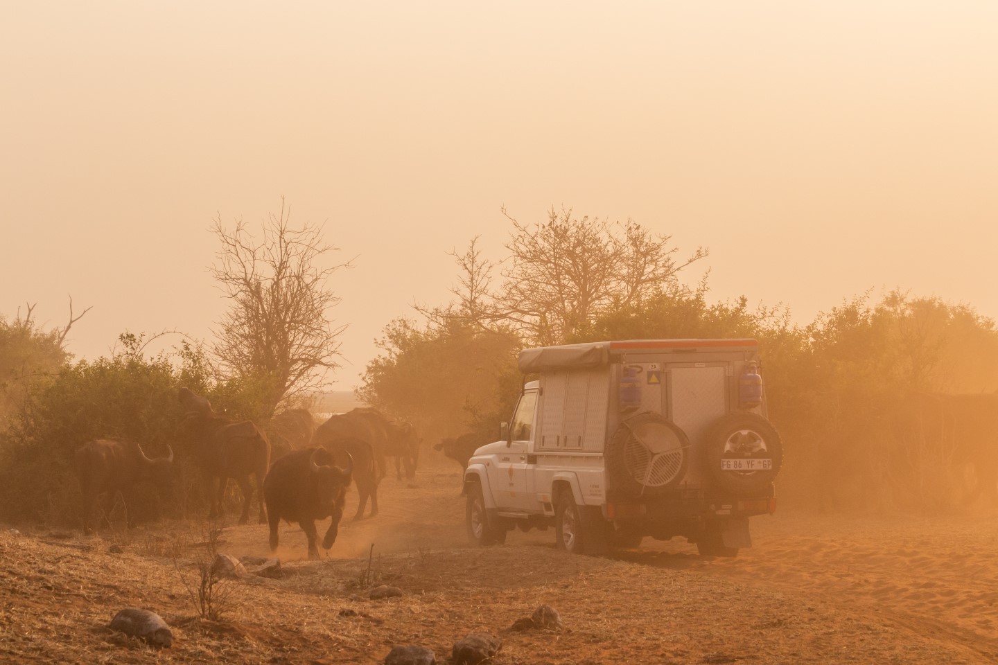 Chobe Nationaal Park