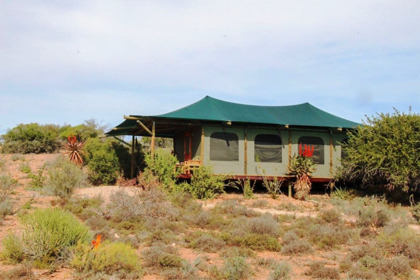 Afbeelding van Buffelsdrift Oudtshoorn Tent Buitenzijde