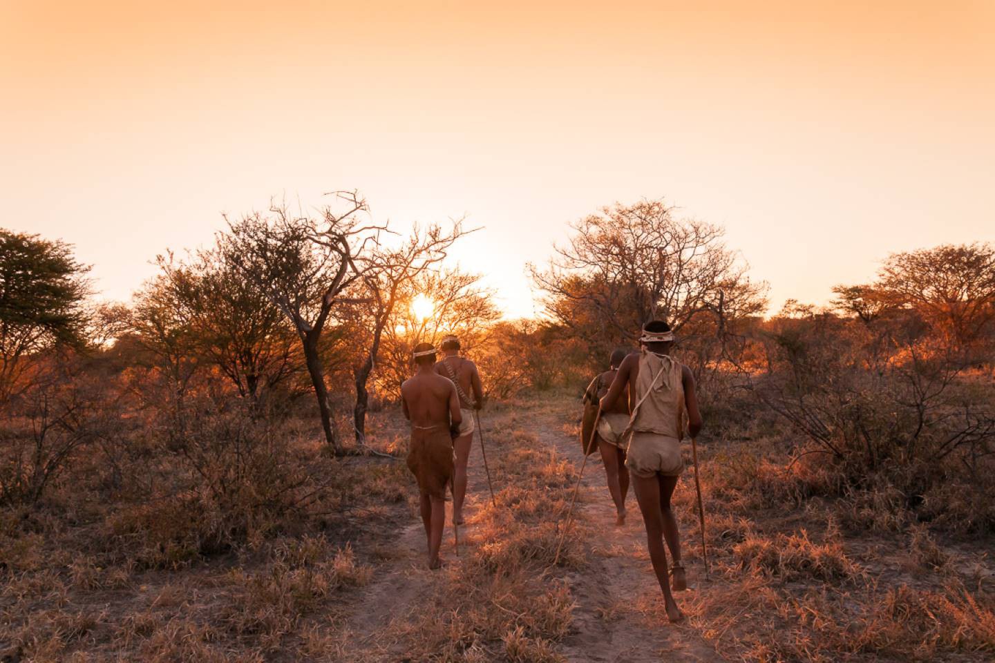 Afbeelding van Bushmen Bushwaysafari