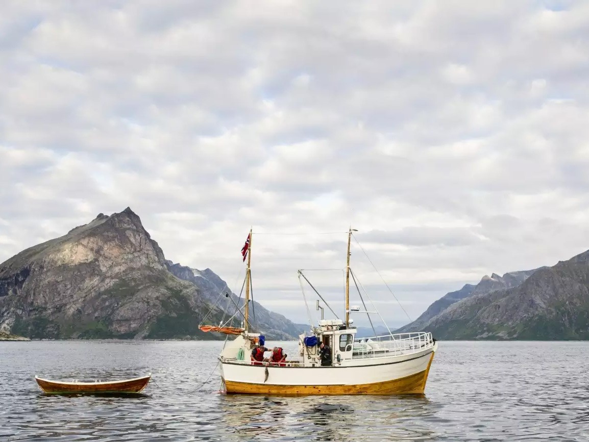 Afbeelding van C H Visit Norway Zeevissen In Noorwegen