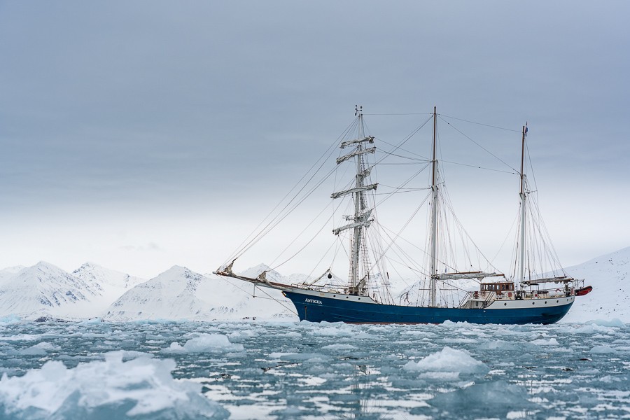 Afbeelding van Cape Tracks Beluga Reizen Dsc09057