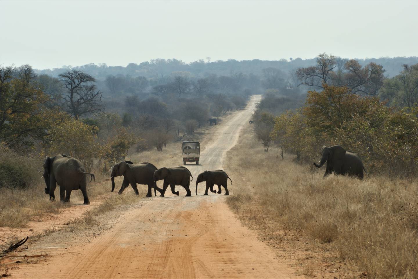 Afbeelding van Caprivistrip Bwabwata National Park Suid Afrika Reise