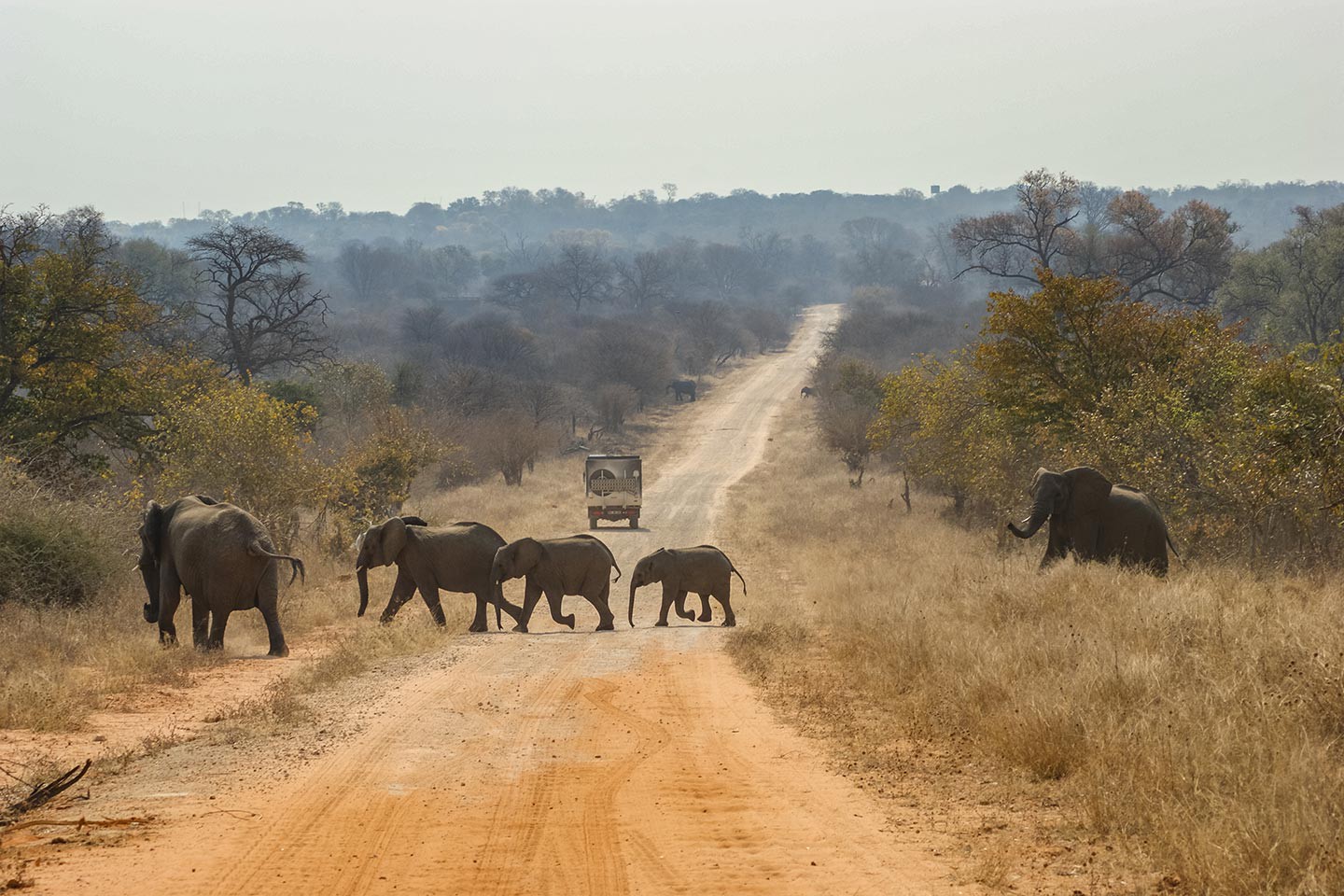 Afbeelding van Caprivistrip Bwabwata National Park Suid Afrika Reise