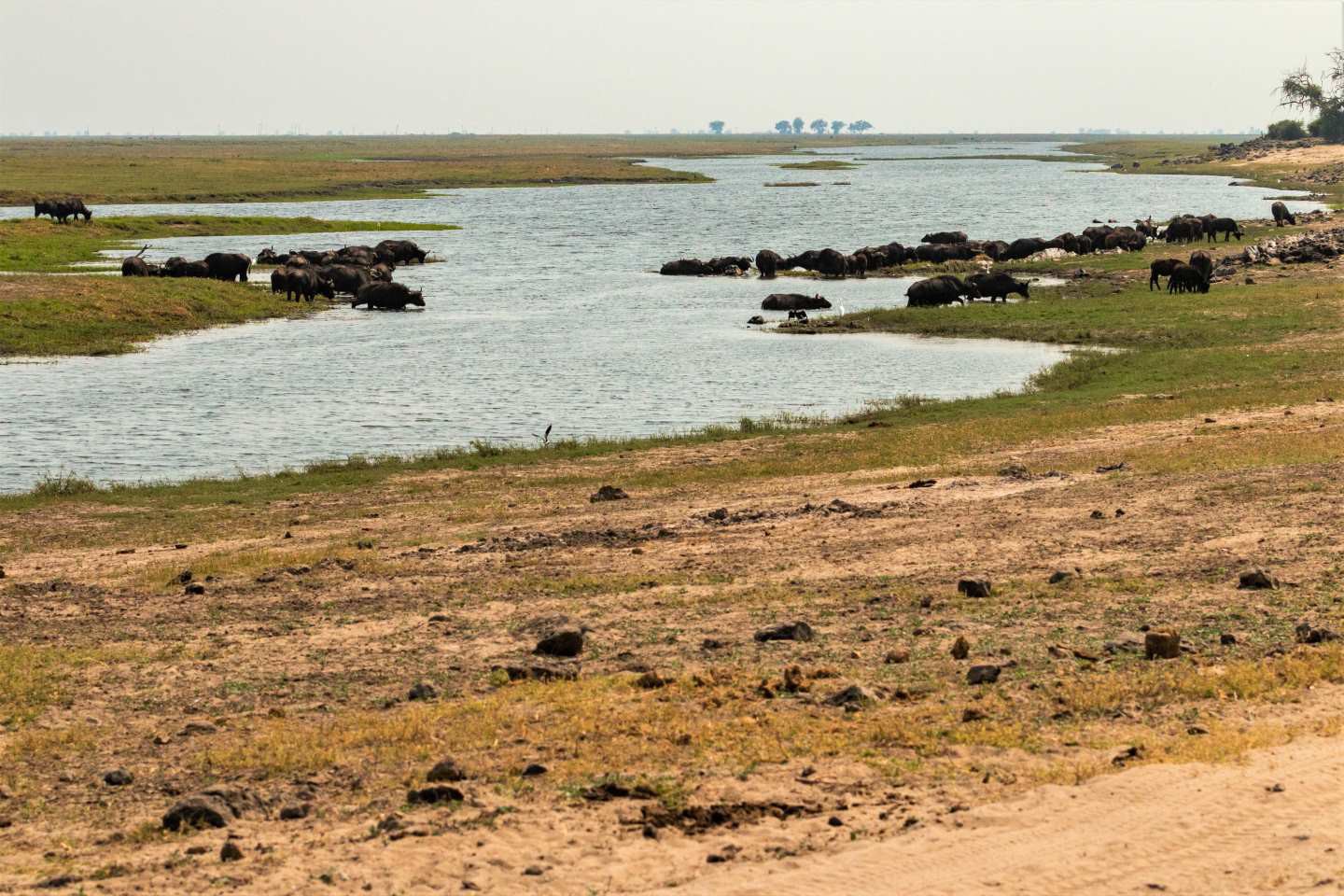 Chobe Nationaal Park