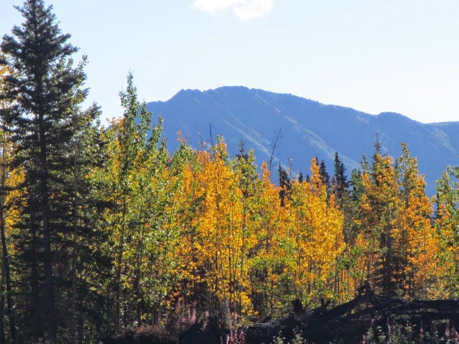 Canada, Koidern, Discovery Yukon Lodging