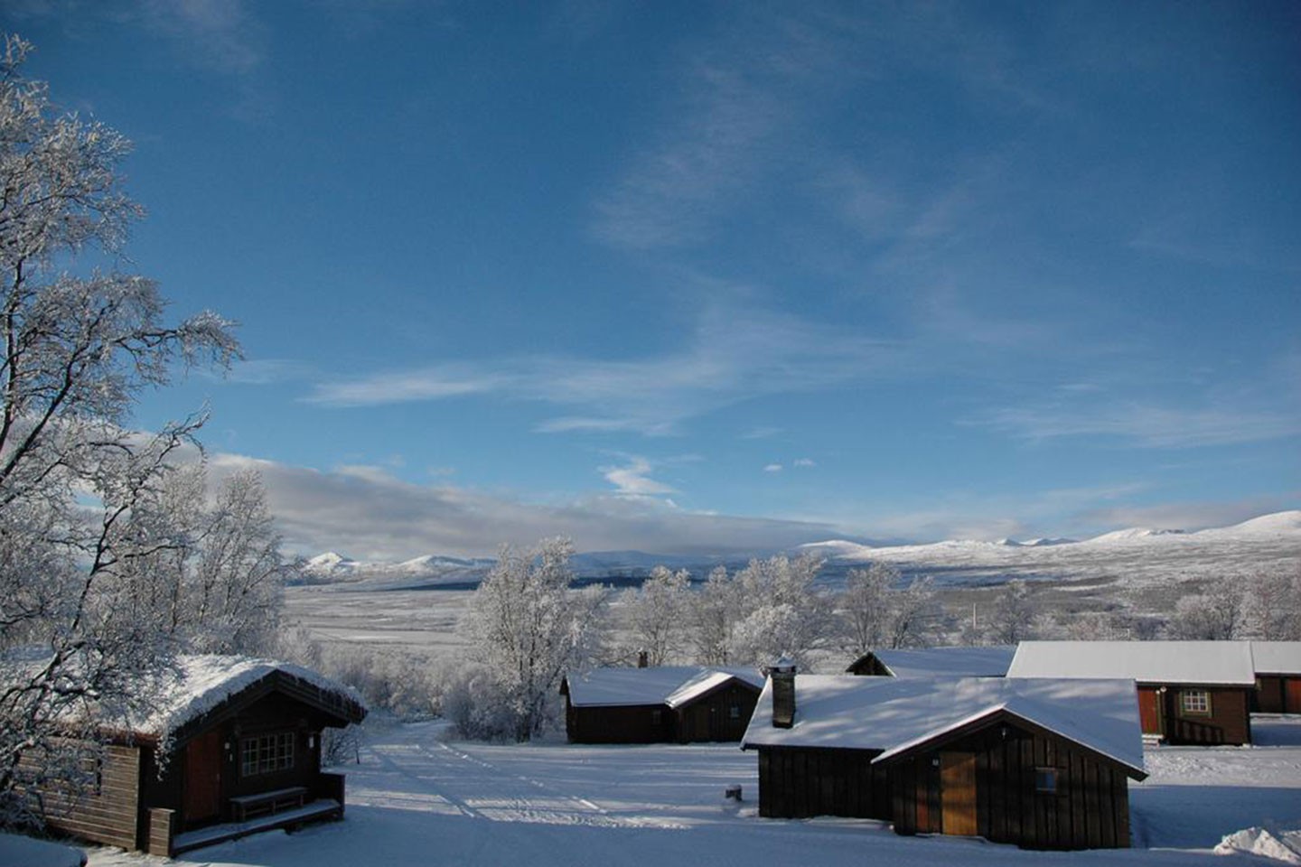 Dombås, Dovrefjell Lodge bungalow