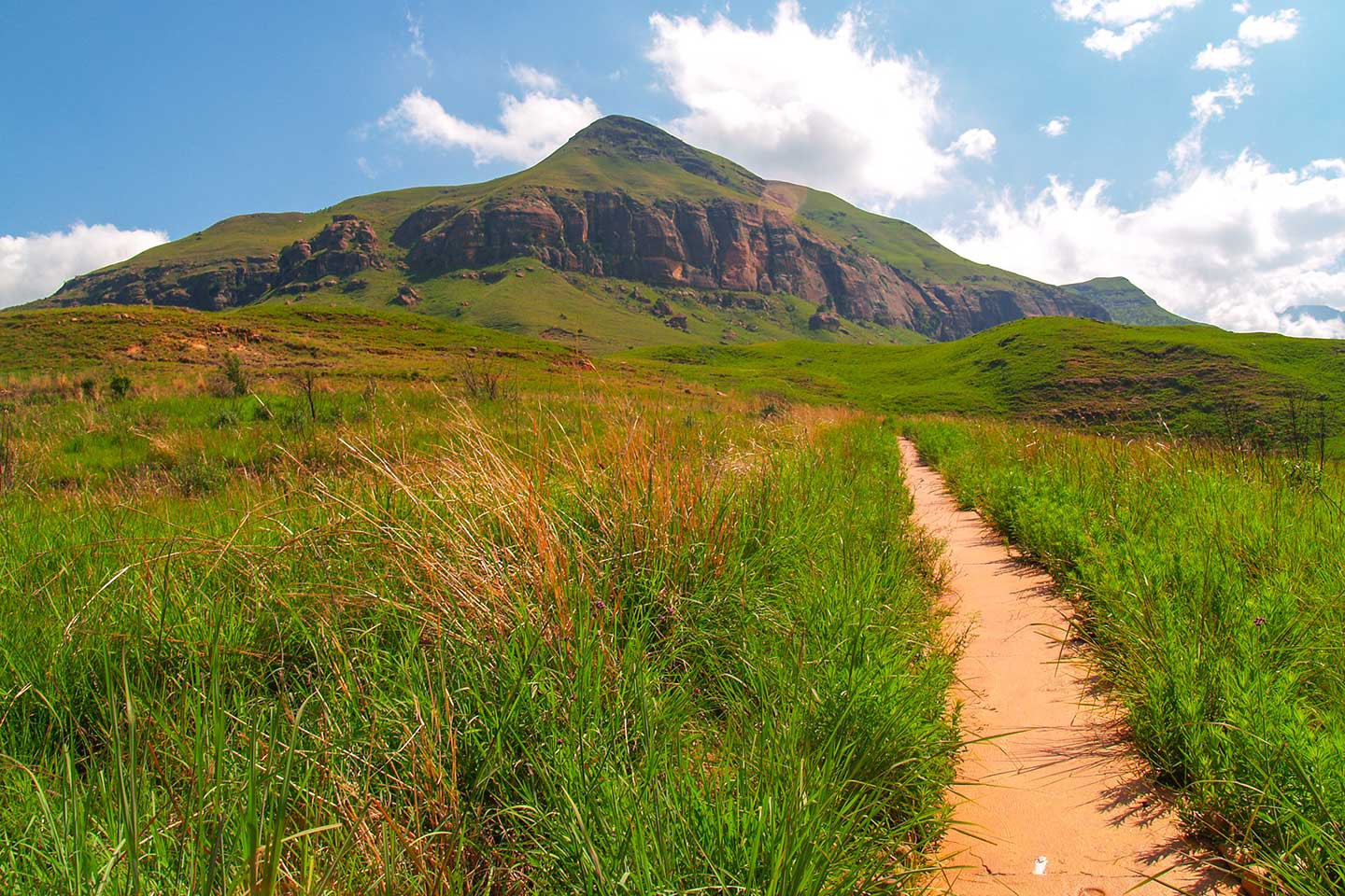 Drakensbergen Didima Suid Afrika Reise Douwe Baas Afbeelding van Drakensbergen Didima Suid Afrika Reise Douwe Baas