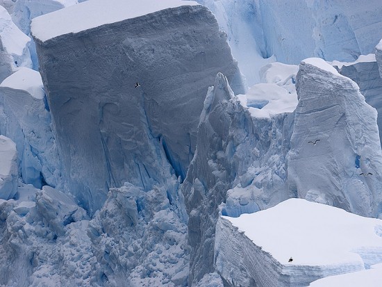 Afbeelding van Expedition An Antarcticexplorer2 2010 1329229358