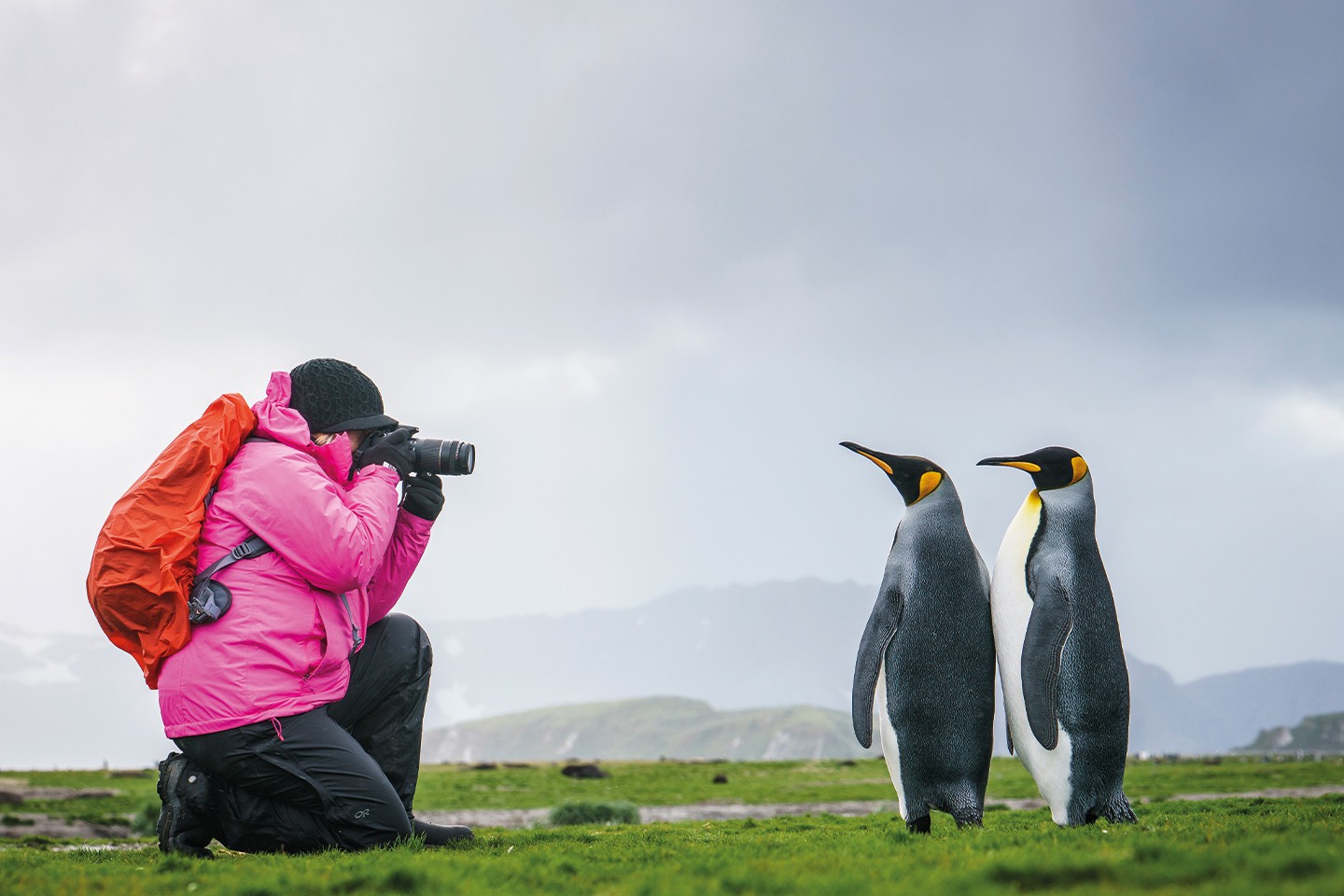 Afbeelding van Falkland Grytviken Antarctisch Schiereiland Falklands%2C South Georgia%2C Ant Peninsula %C2%A9 Fotografie Dietmar Denger Oceanwide Expeditions84