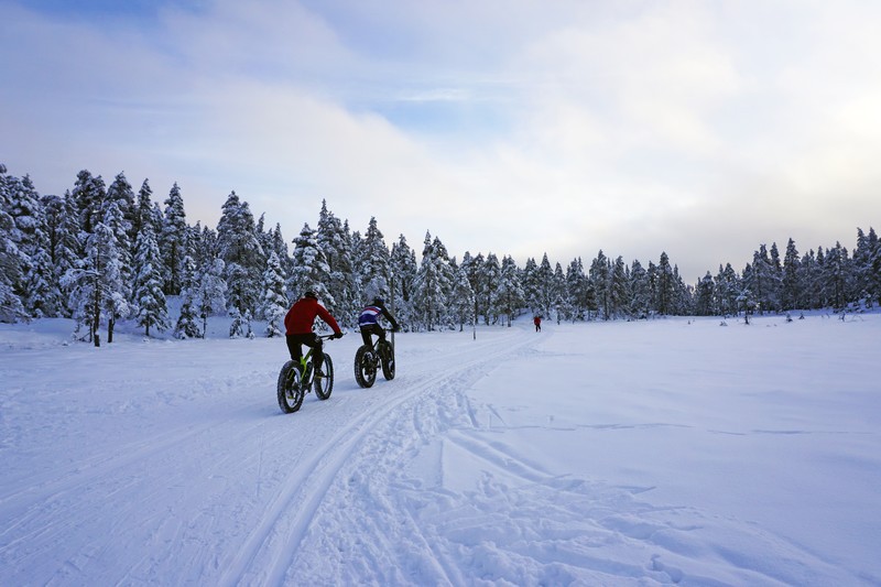 Afbeelding van Fatbiken Zweden Fatbike I Nordamarka VO04700 800