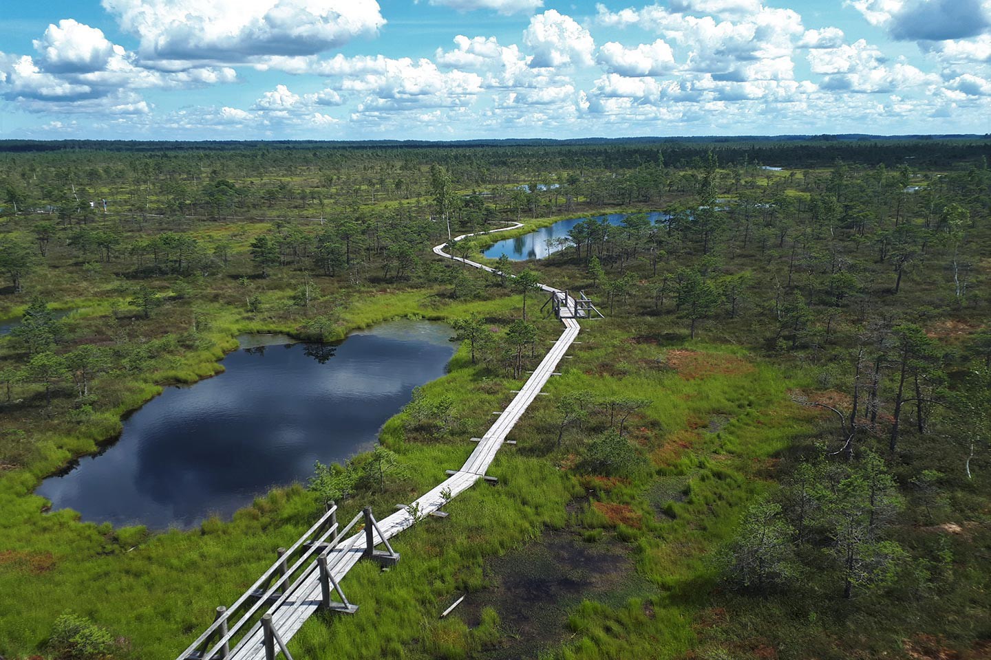 Afbeelding van Fietsen Kemeri Nationaal Park 2