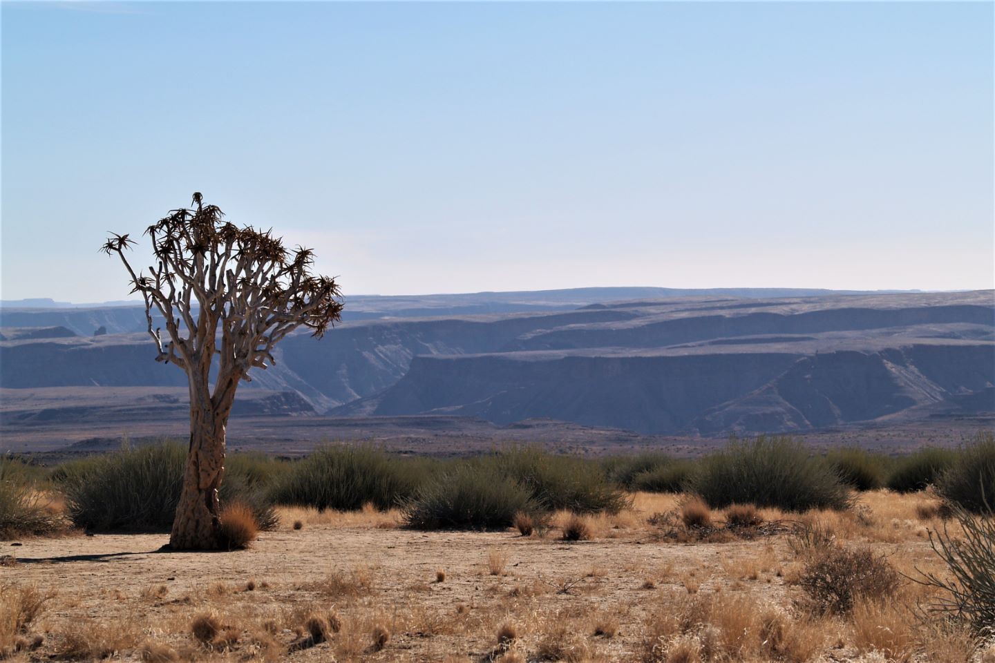 Fish River Canyon