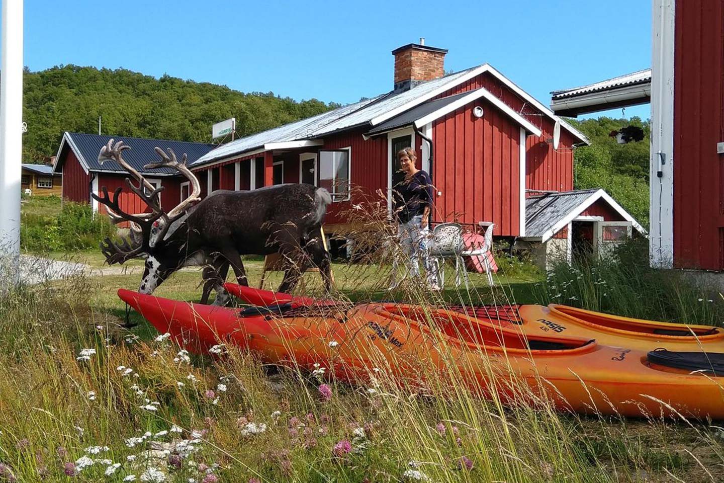 Tänndalen, Fjällnäs Camping en lodges