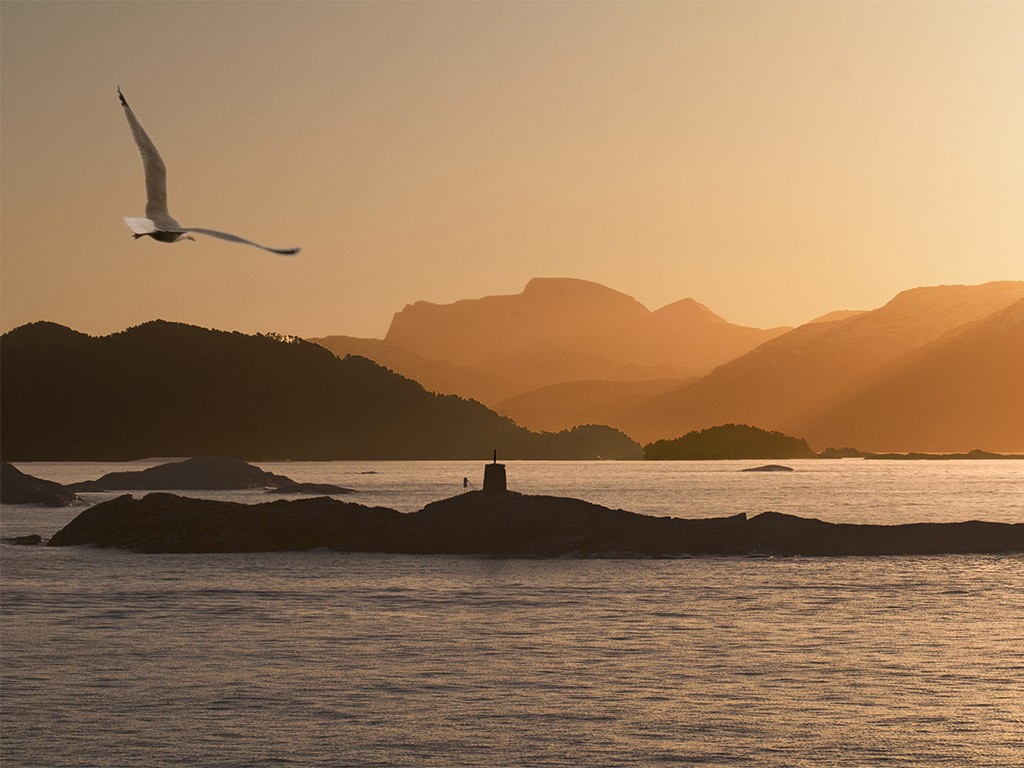 Afbeelding van Floro Hurtigruten Kirchhoff