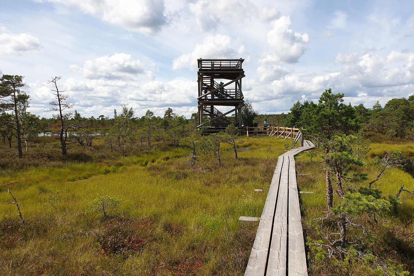 Afbeelding van Fly Drive Estland Letland Litouwen Saule 3