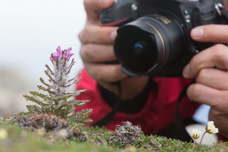 Foto workshop Groenland